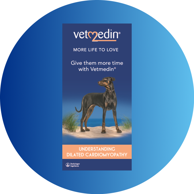 Give them more life with Vetmedin